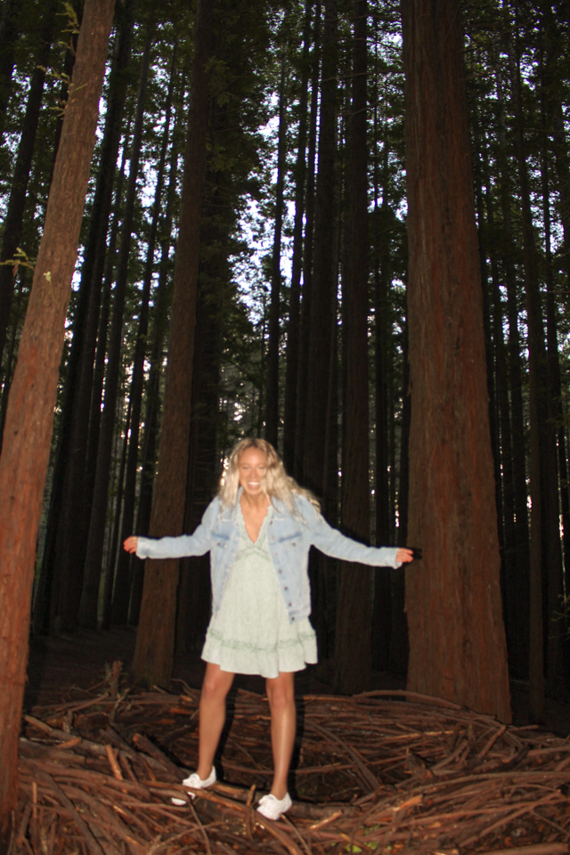 Dreaming of elsewhere warburton redwood forrest