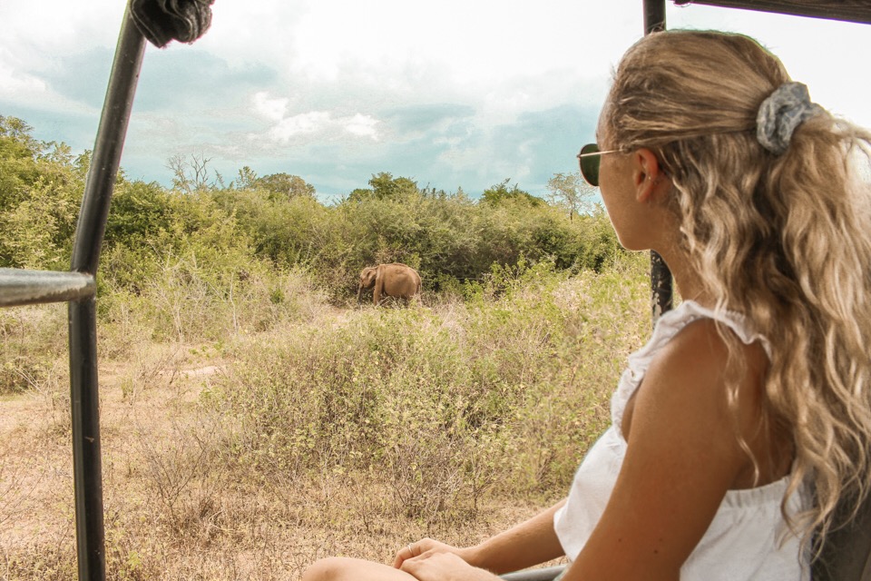 Dreaming of elsewhere Udawalawe safari