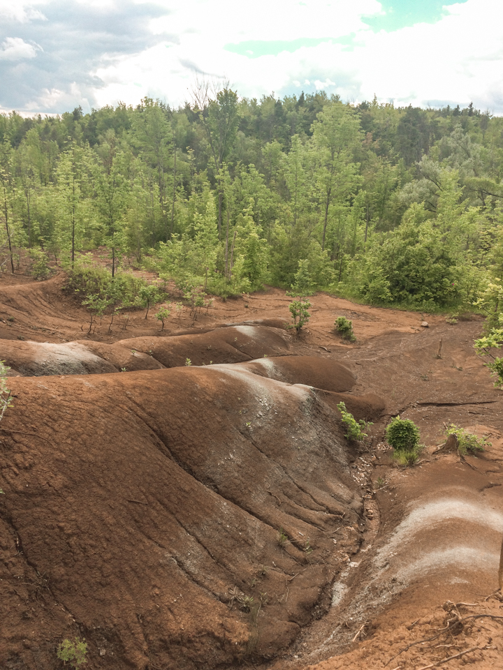 Dreaming of elsewhere Cheltenham Badlands