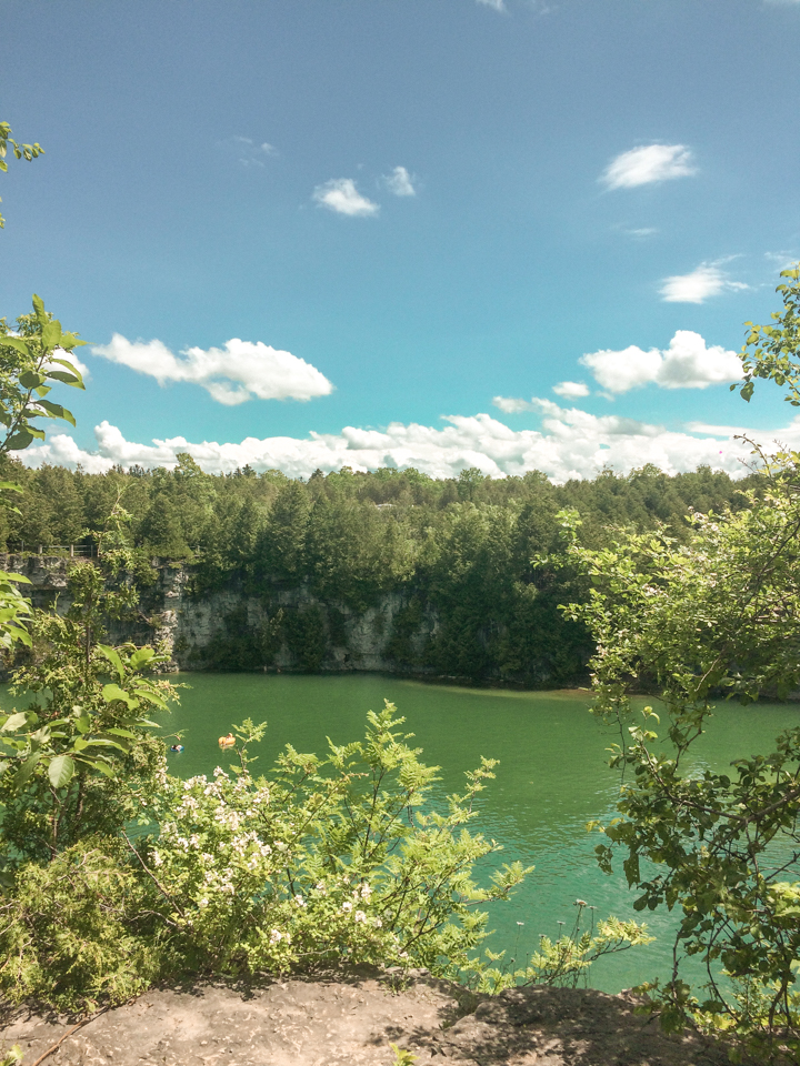 Dreaming of elsewhere elora gorge