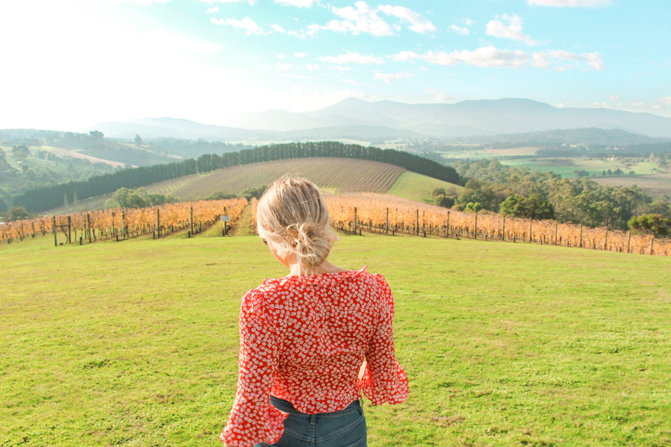 spellbound travels yarra valley wineries