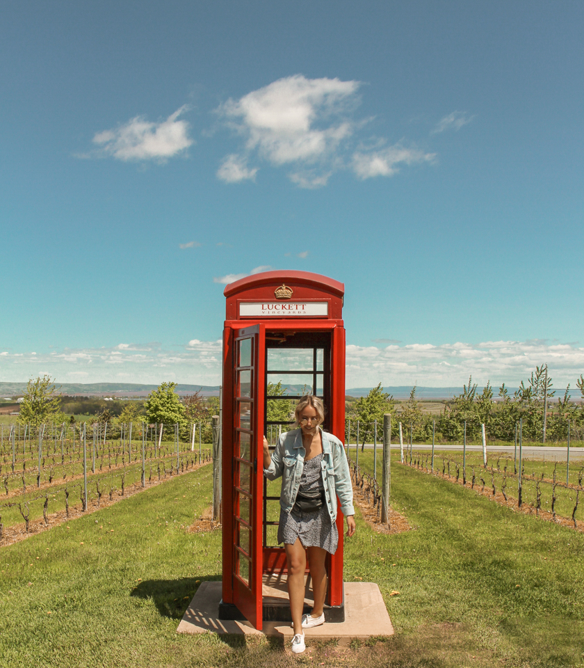 spellbound travels luckett vineyards nova scotia 