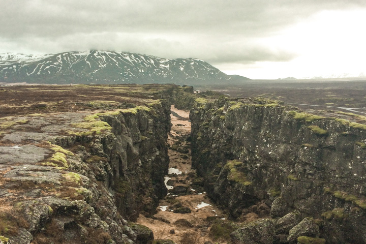 spellbound travels thingvellir national park