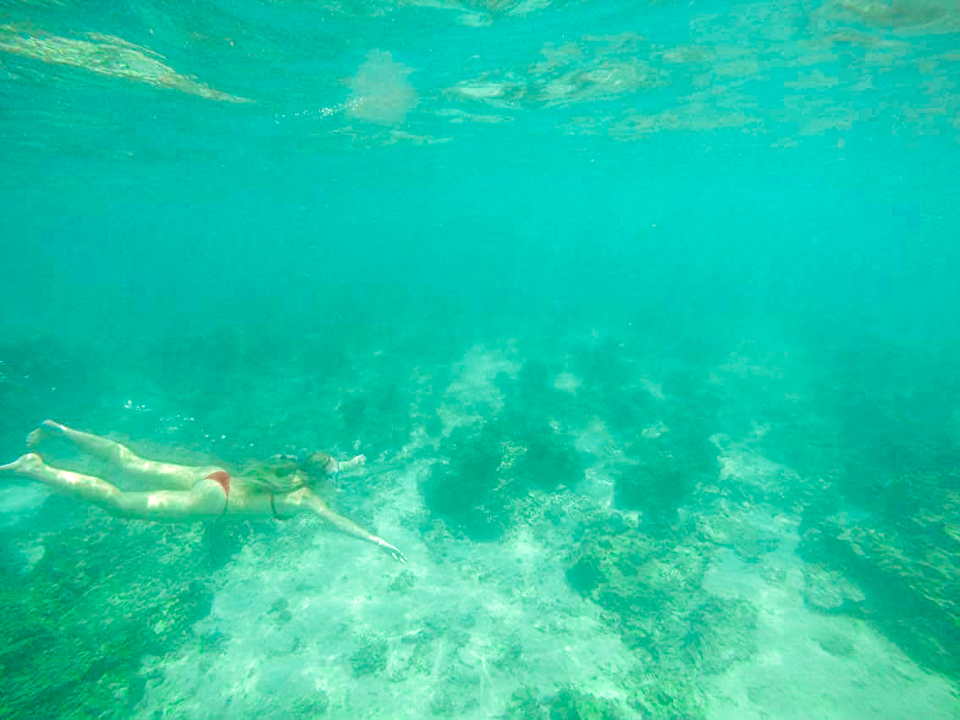 spellbound travels ko tao snorkelling