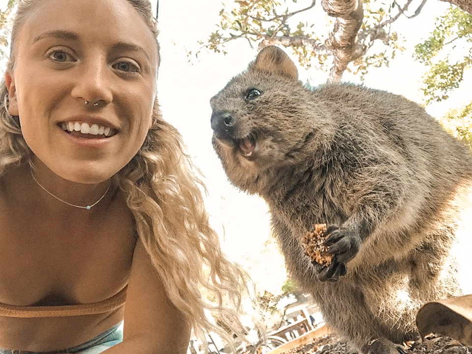 spellbound travels quokka selfie rottnest island