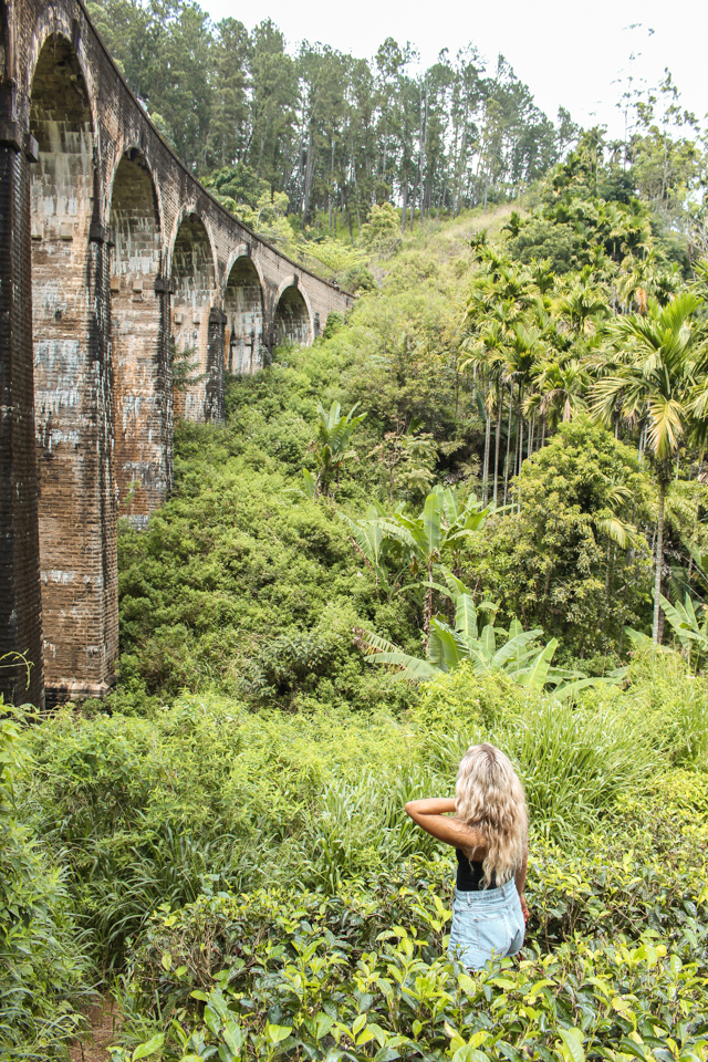 spellbound travels ella sri lanka