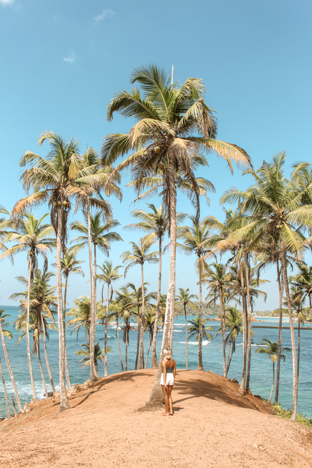 spellbound travels coconut tree hill mirissa beach sri lanka