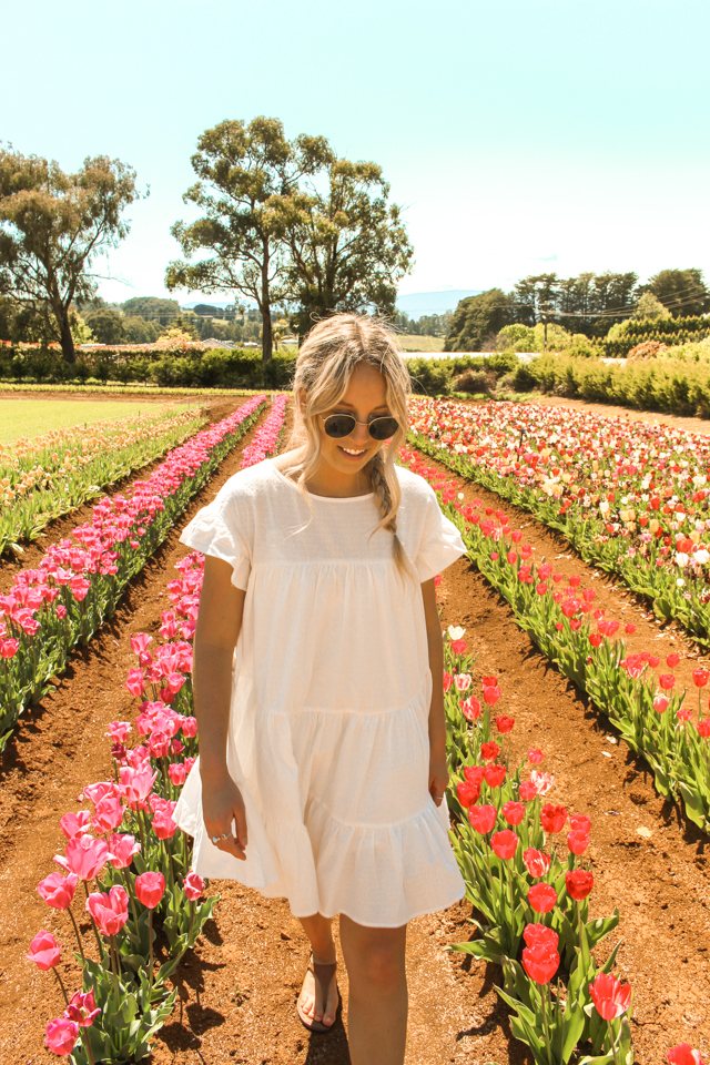 spellbound travels flower festival melbourne 